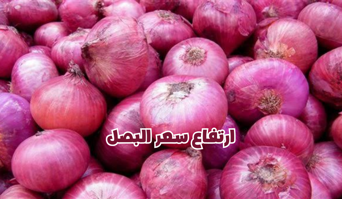 سعر البصل في السعودية
