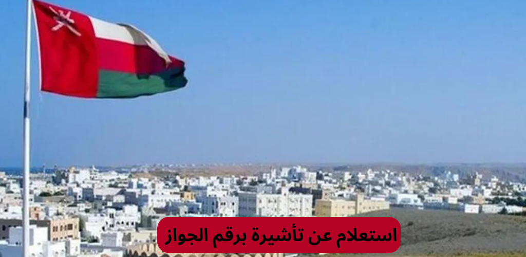 استعلام عن تأشيرة برقم الجواز