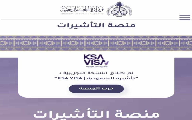 الاستعلام عن تأشيرة برقم الجواز