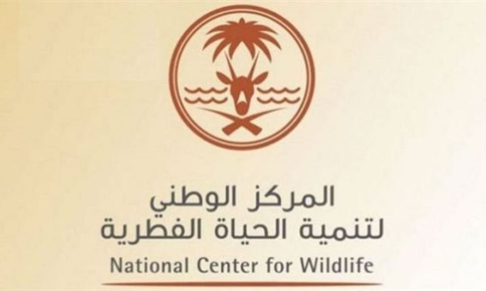 التقديم على المركز الوطني