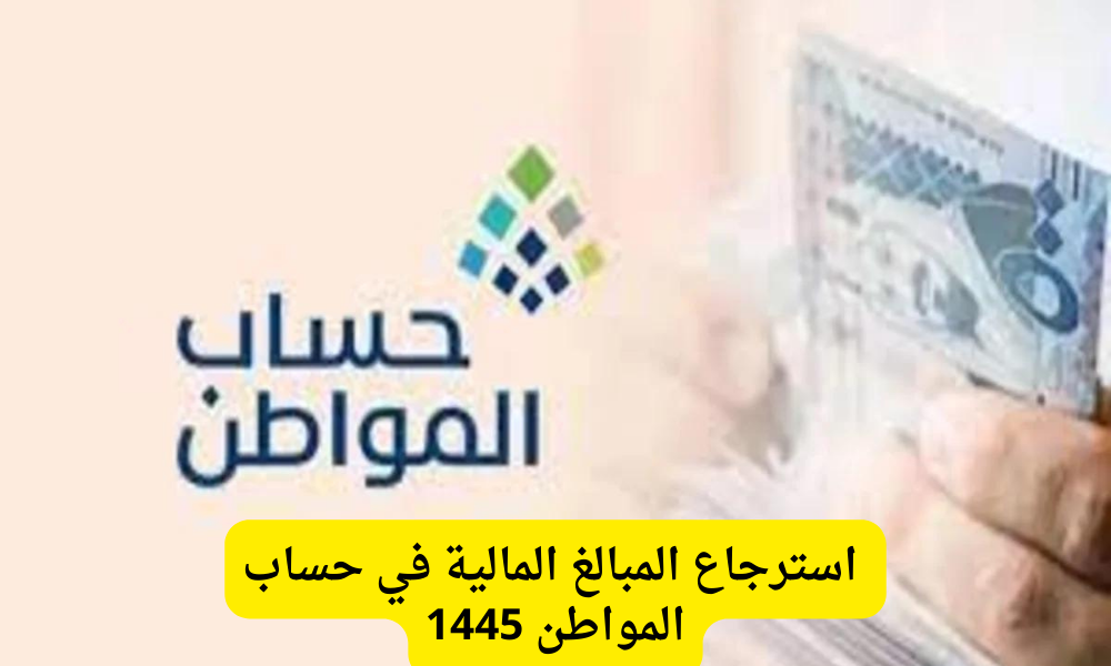  استرجاع المبالغ المالية 