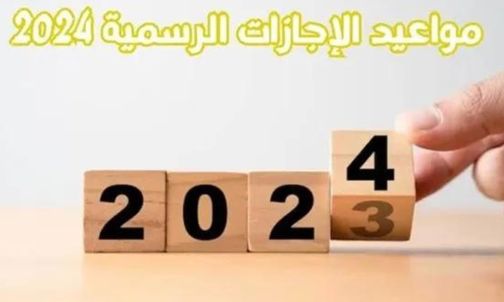 جدول الاجازات