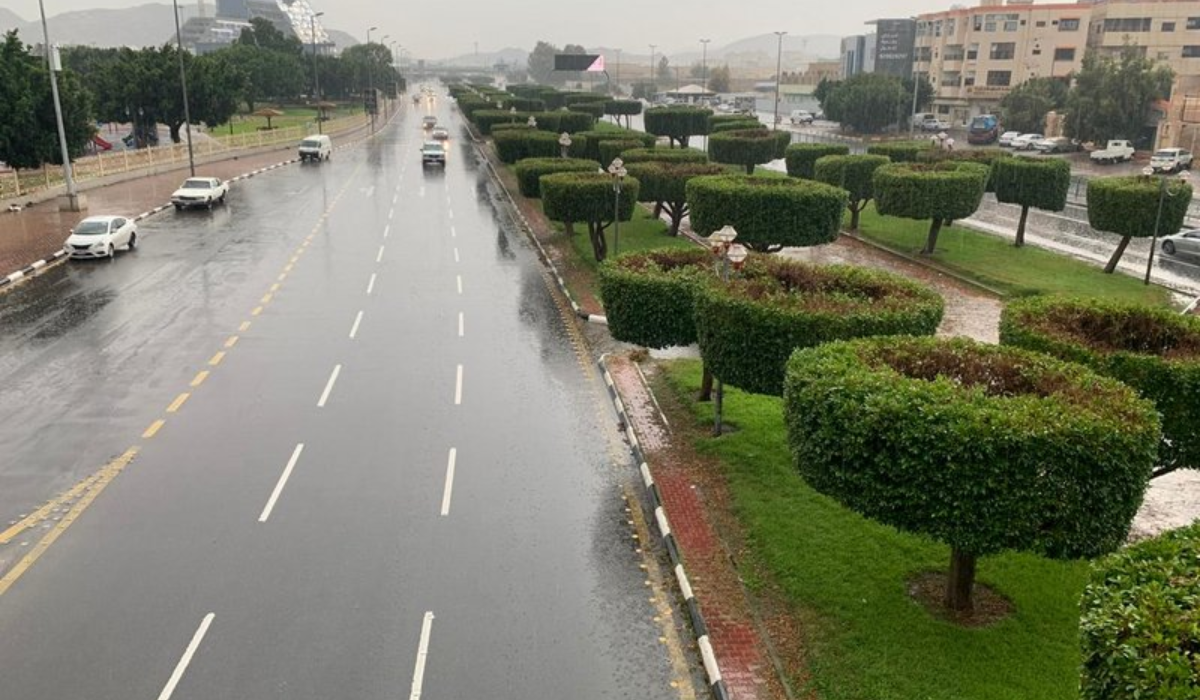 توقعات سقوط أمطار