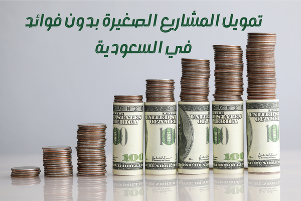 دعم المشاريع الصغيرة بدون كفيل