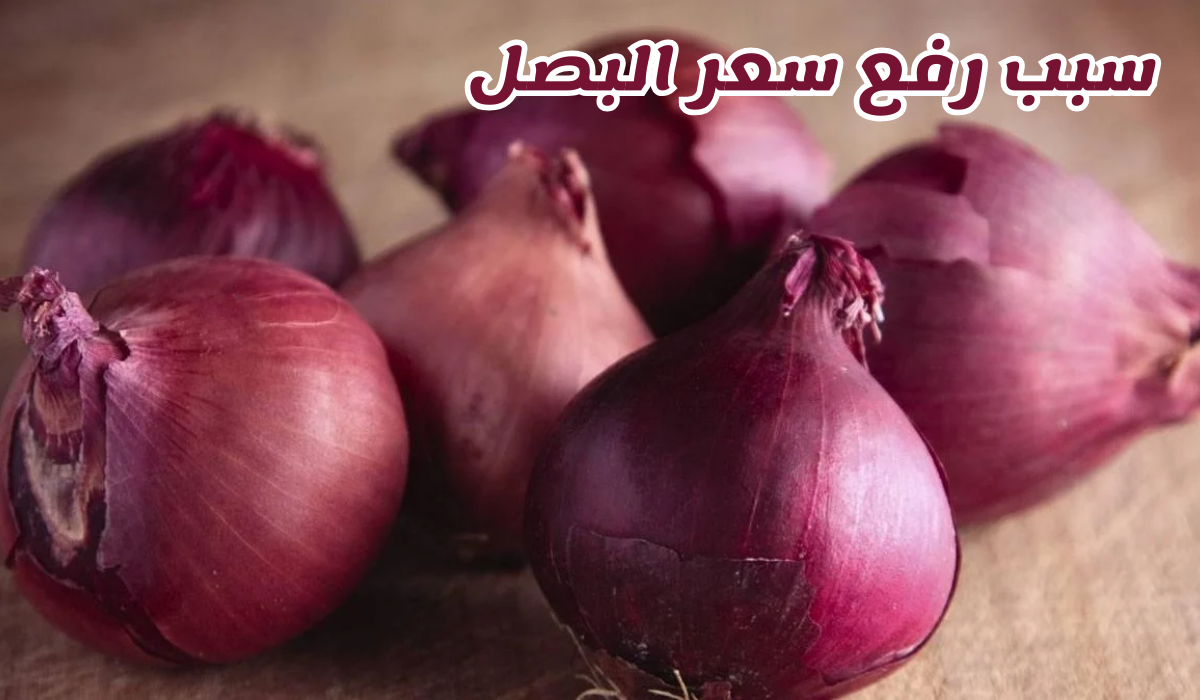 سعر البصل في السعودية