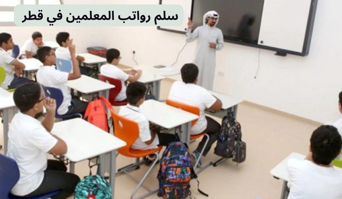 راتب المعلم على حسب المادة 