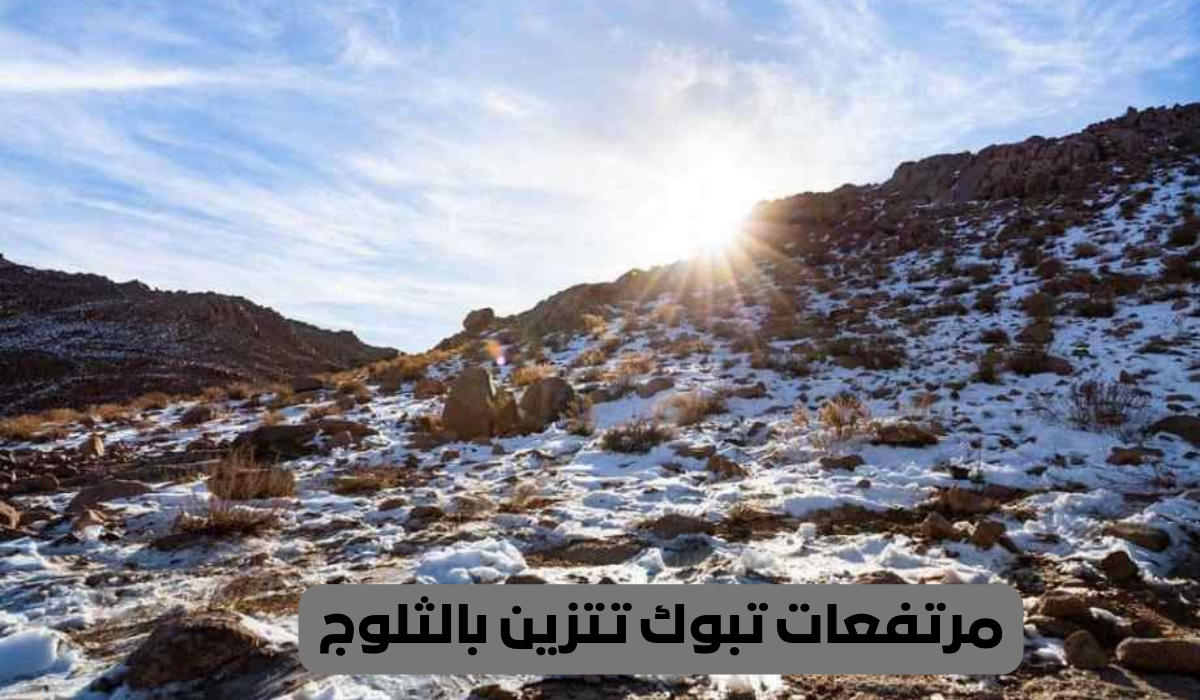 مرتفعات تبوك تتزين بالثلوج 