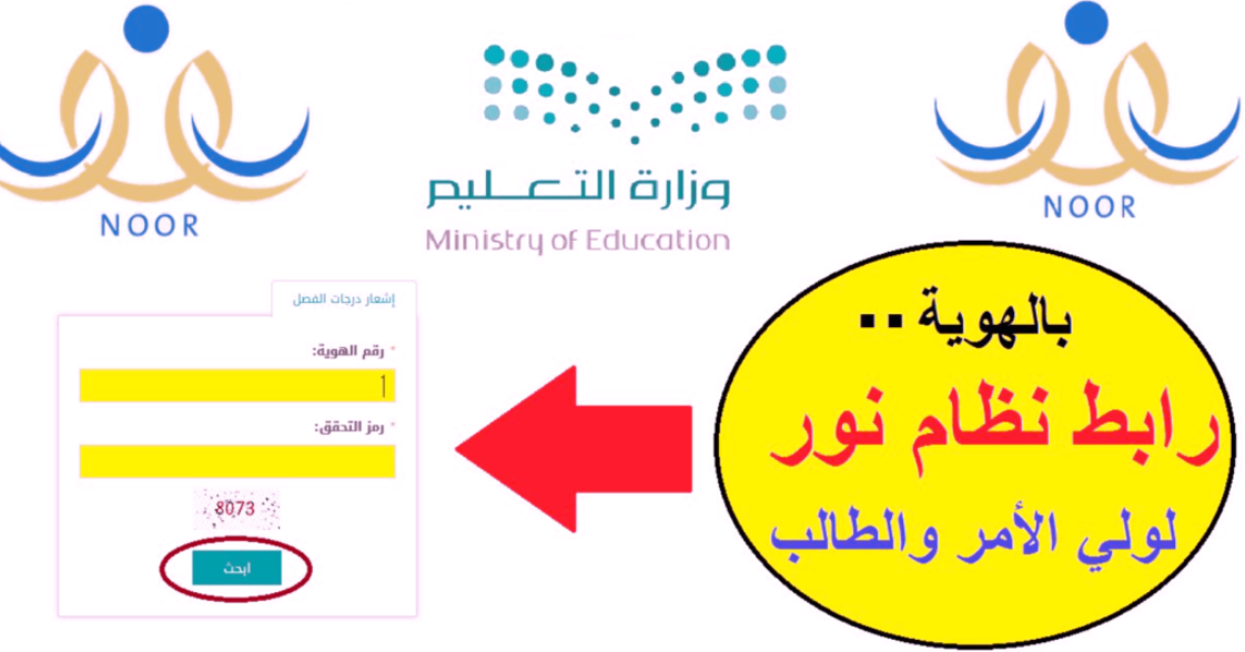 كيف اطلع الشهادة من نور