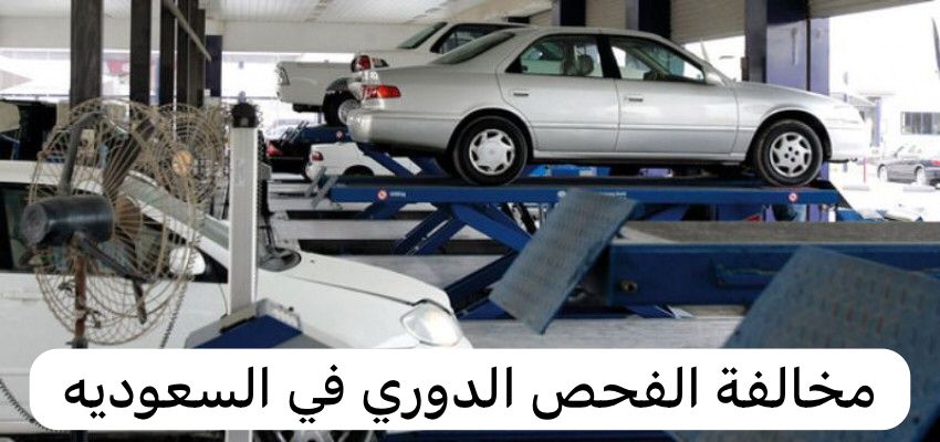 مخالفة الفحص الدوري