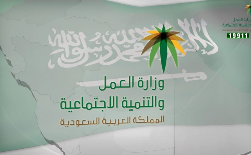 منصة الدعم والحماية الاجتماعية