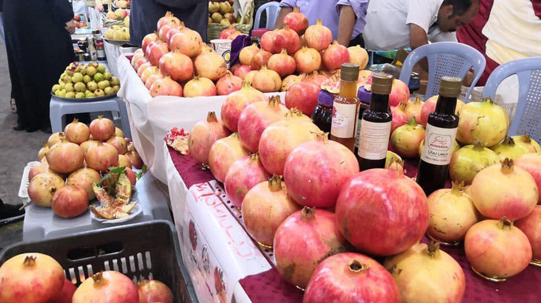 مهرجان الرمان بالشيحية