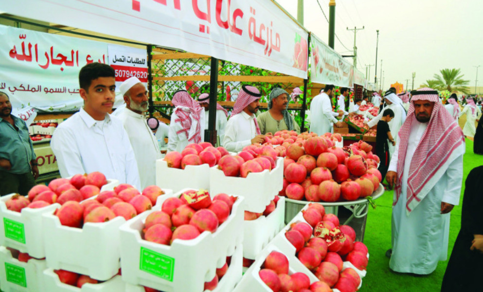 مهرجان رمان الشيحية