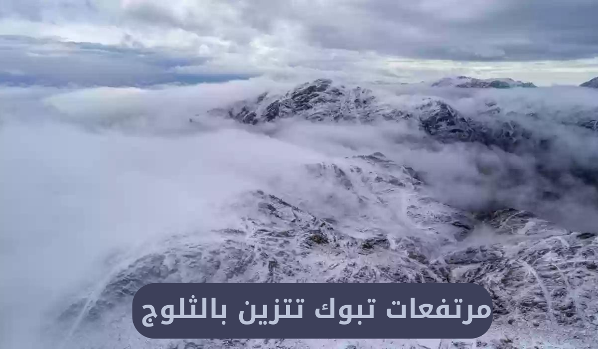 ثلوج مرتفعات تبوك