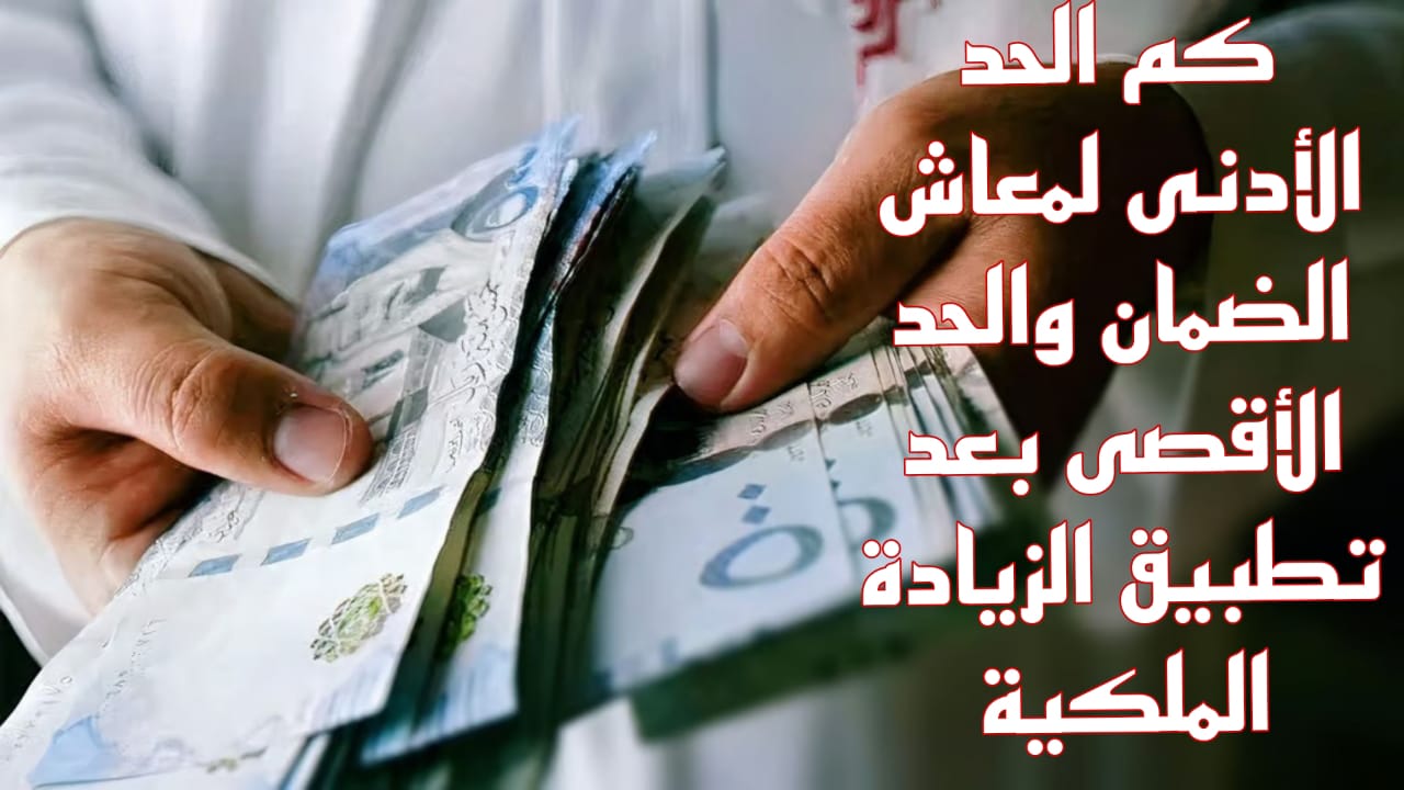 كم الحد الأدنى لمعاش الضمان