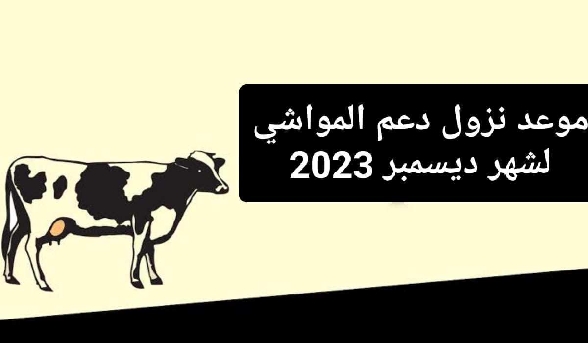 موعد نزول دعم المواشي لشهر ديسمبر 2023