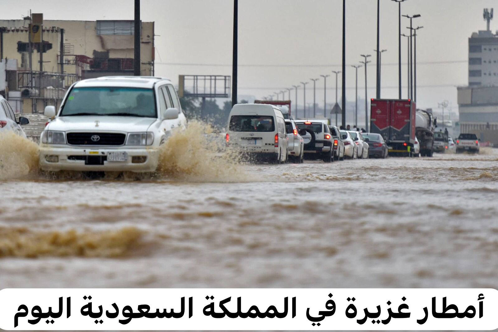 أمطار غزيرة في المملكة