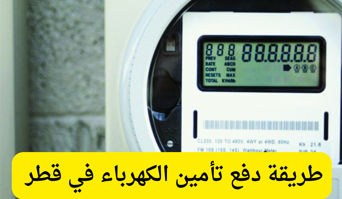 دفع تأمين الكهرباء 