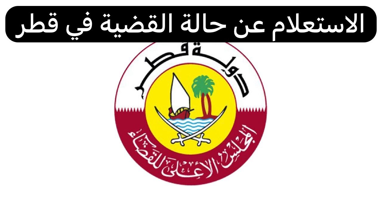 الاستعلام عن حالة القضية