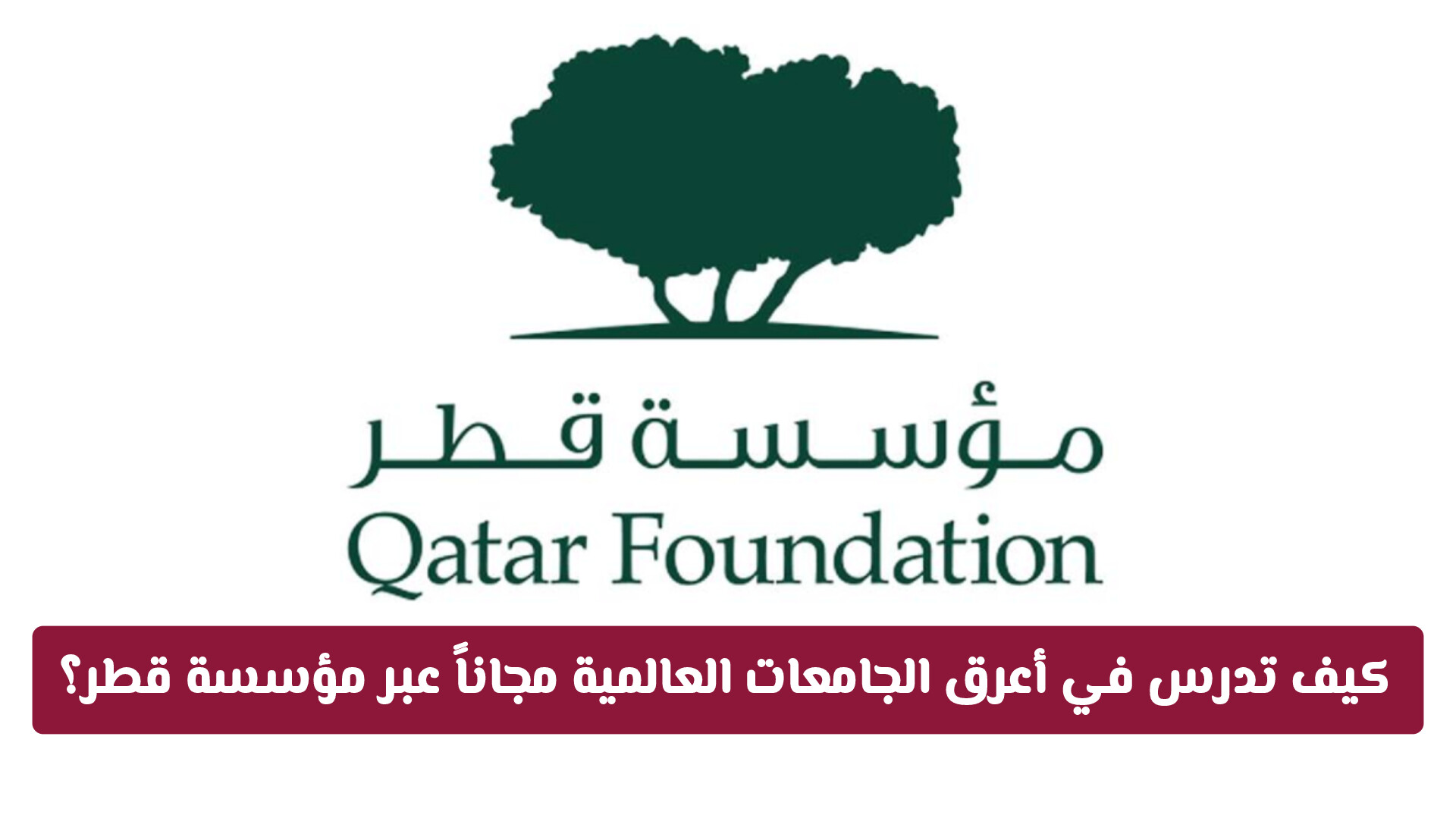 كيف تدرس في أعرق الجامعات العالمية مجاناً عبر مؤسسة قطر؟