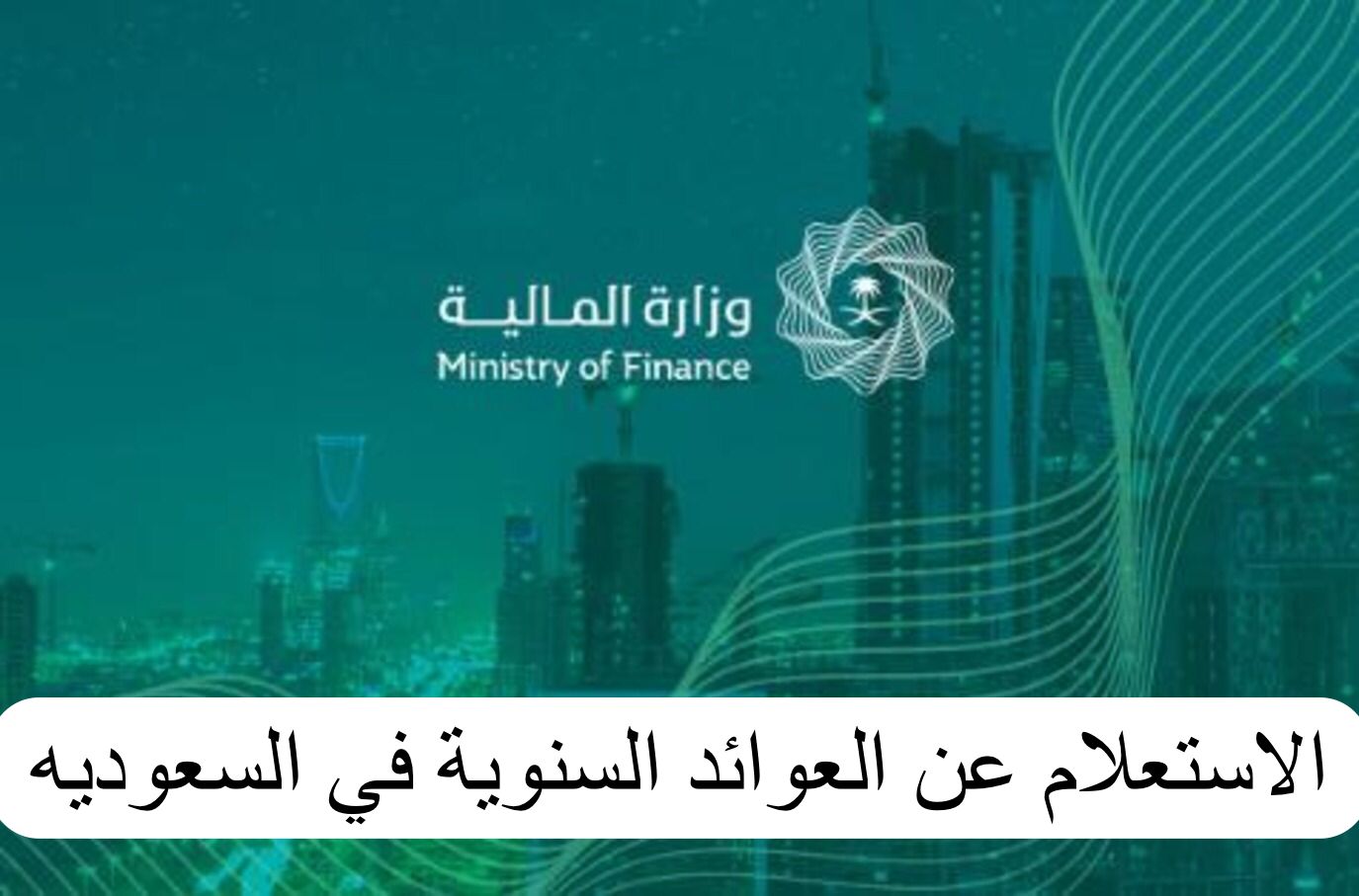 الاستعلام عن العوائد السنوية