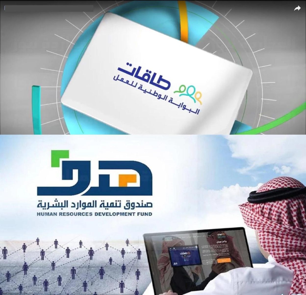 برنامج دعم التوظيف