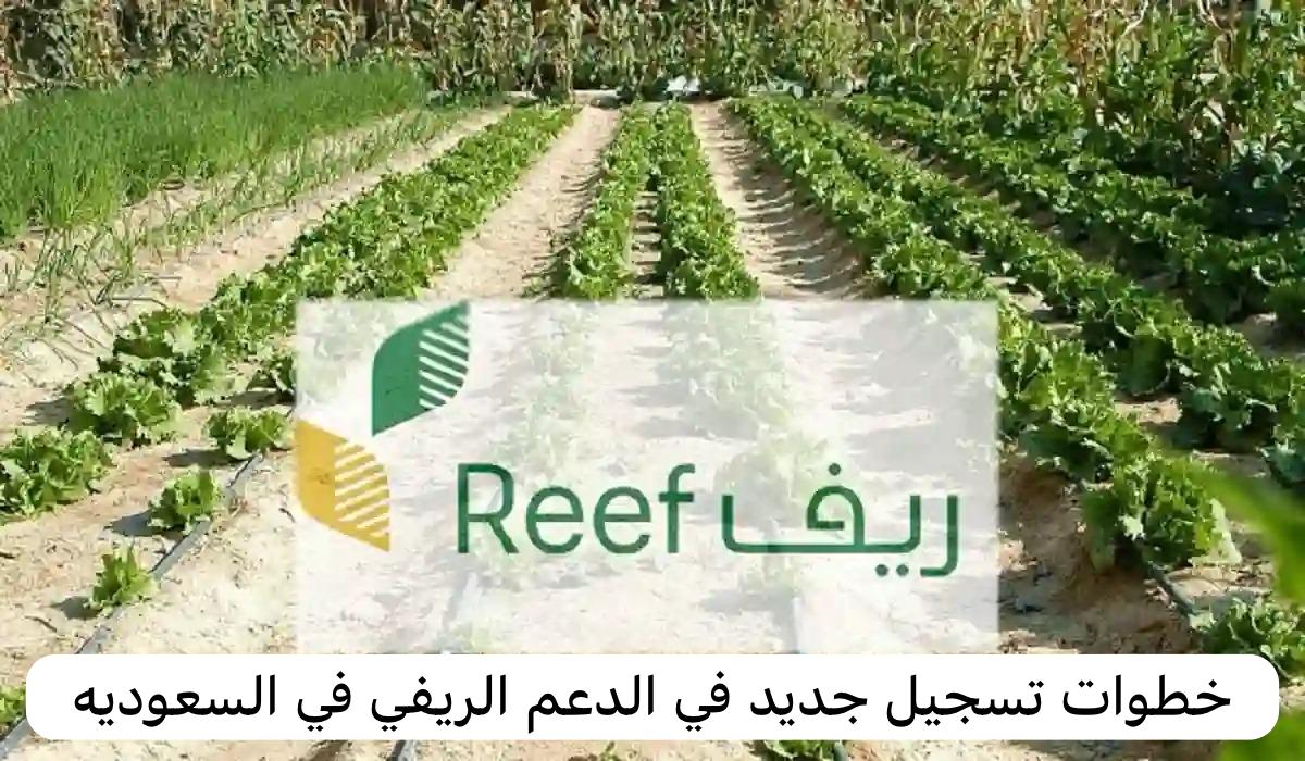 الدعم الريفي