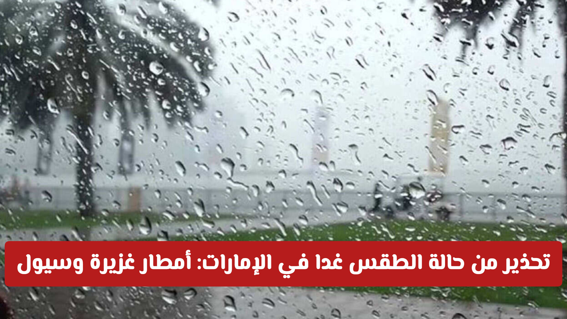 تحذير من حالة الطقس غدا في الإمارات: أمطار غزيرة وسيول وضباب على هذه المناطق