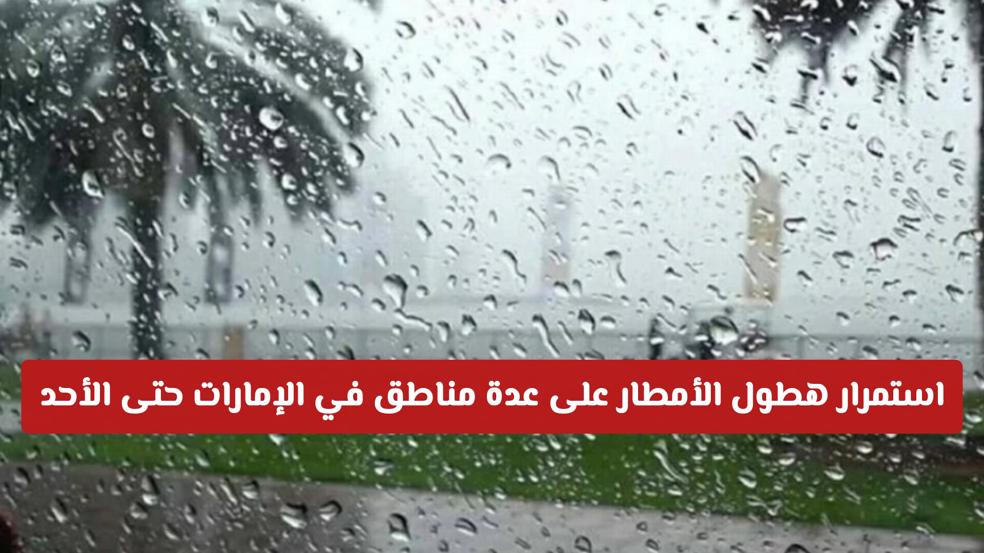 المركز الوطني للأرصاد يتوقع استمرار هطول الأمطار على عدة مناطق في الإمارات حتى الأحد