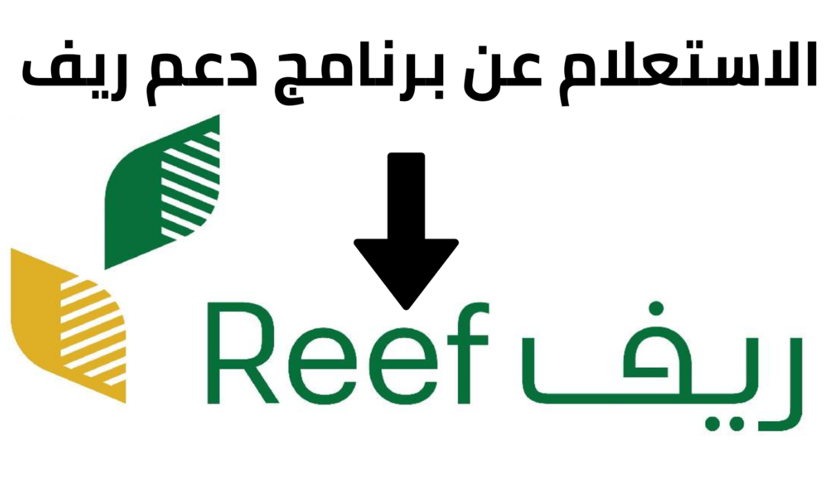 استعلام عن دعم ريف برقم الهوية