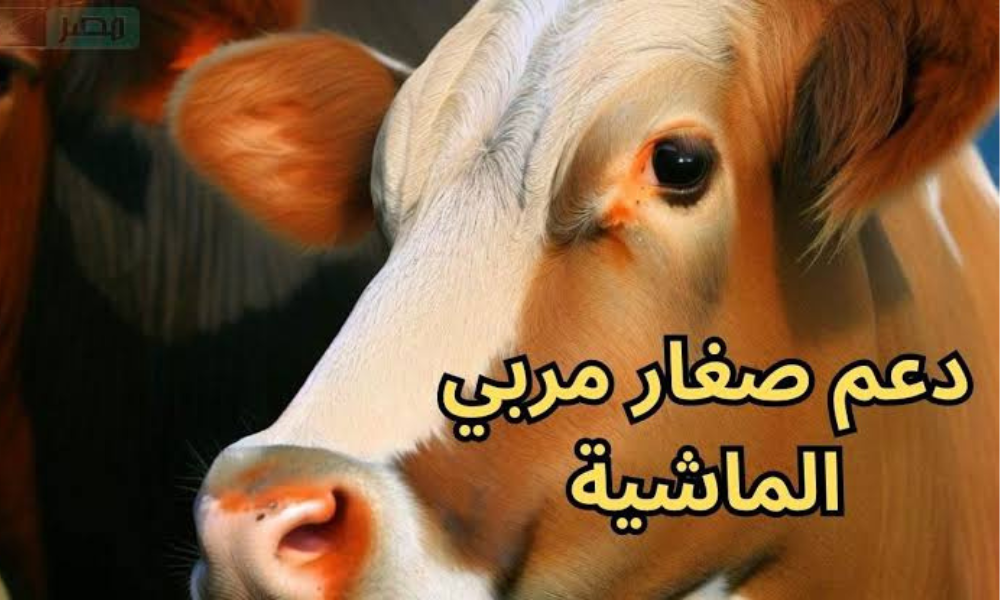 متى ينزل دعم صغار مربي الماشية