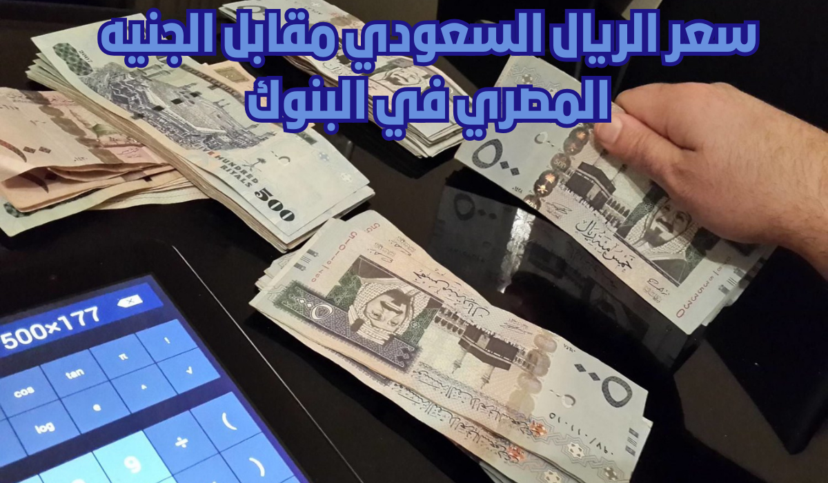 سعر الريال السعودي مقابل الجنيه