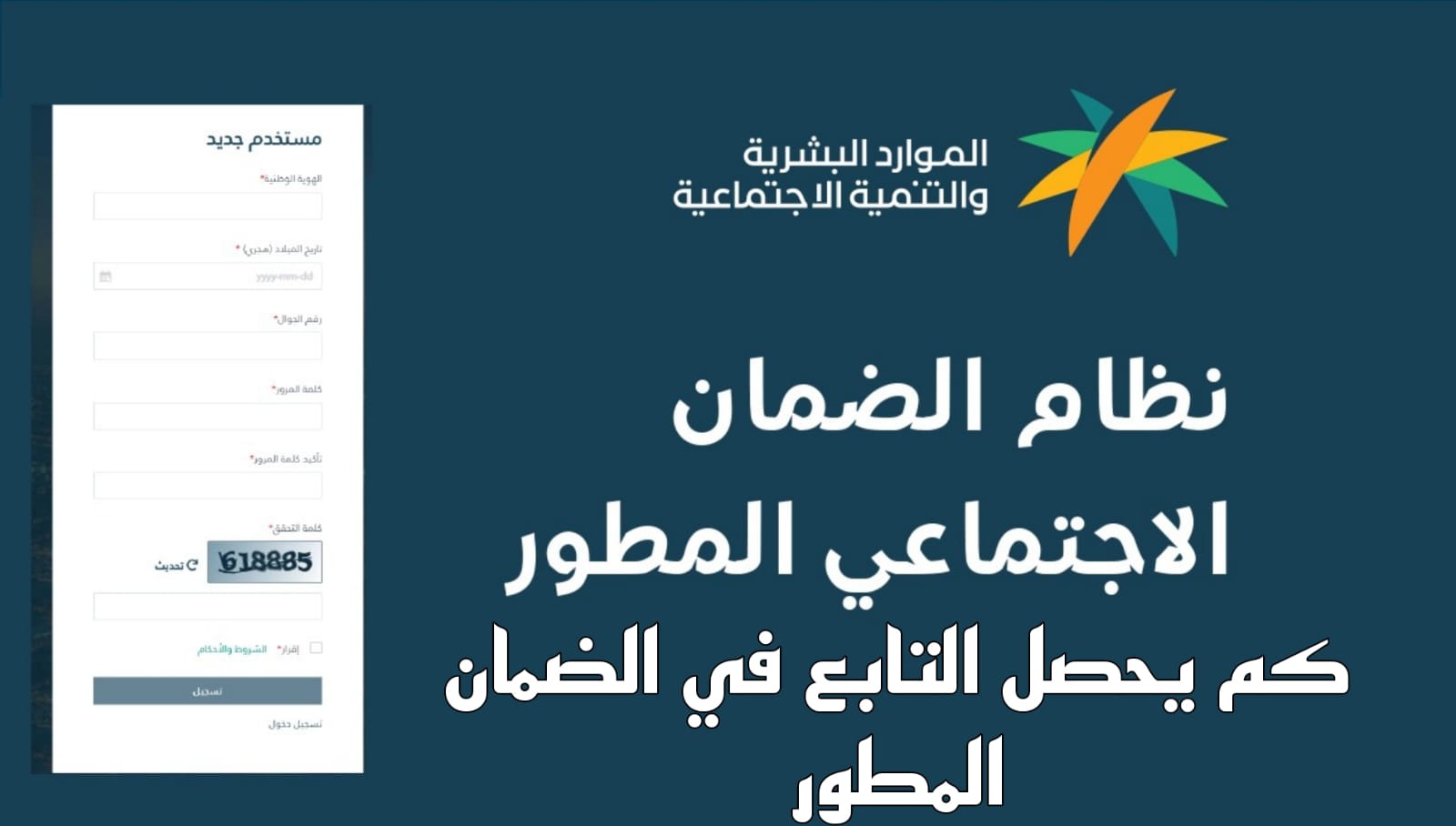 كم يحصل التابع في الضمان المطور