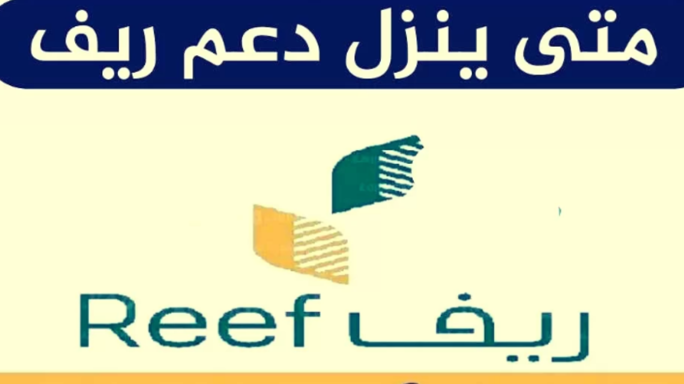 متى ينزل دعم ريف بعد التسجيل