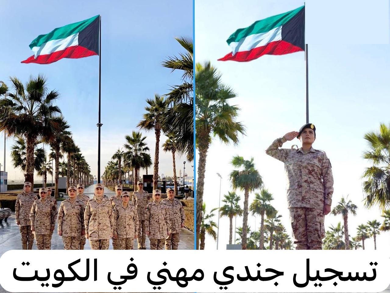 تسجيل جندي مهني