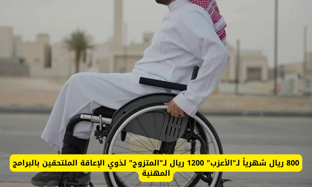 الملتحقين بالبرامج المهنية