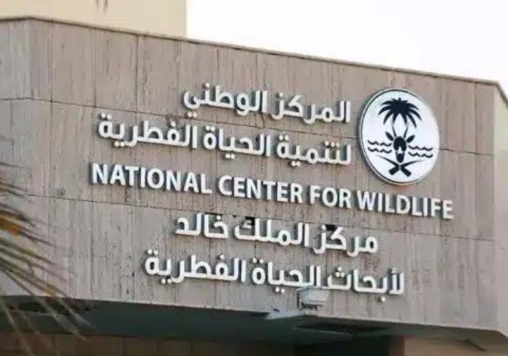 التقديم على المركز الوطني