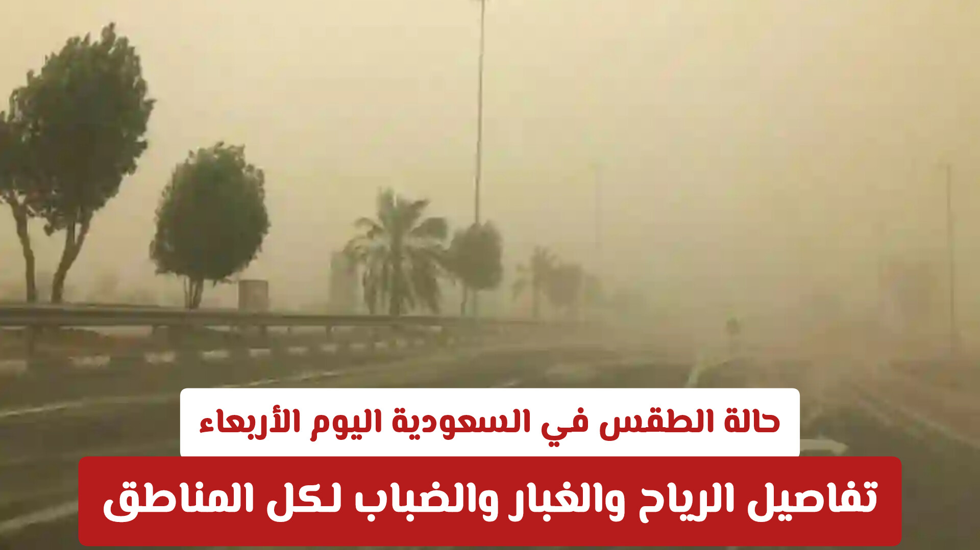 حالة الطقس في السعودية اليوم الأربعاء: تفاصيل الرياح والغبار والضباب لكل المناطق