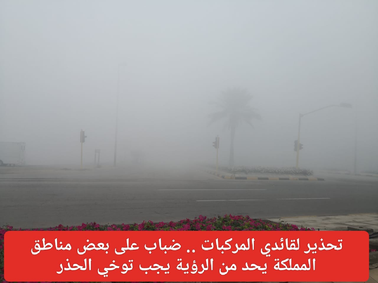 توقعات الطقس في السعودية 