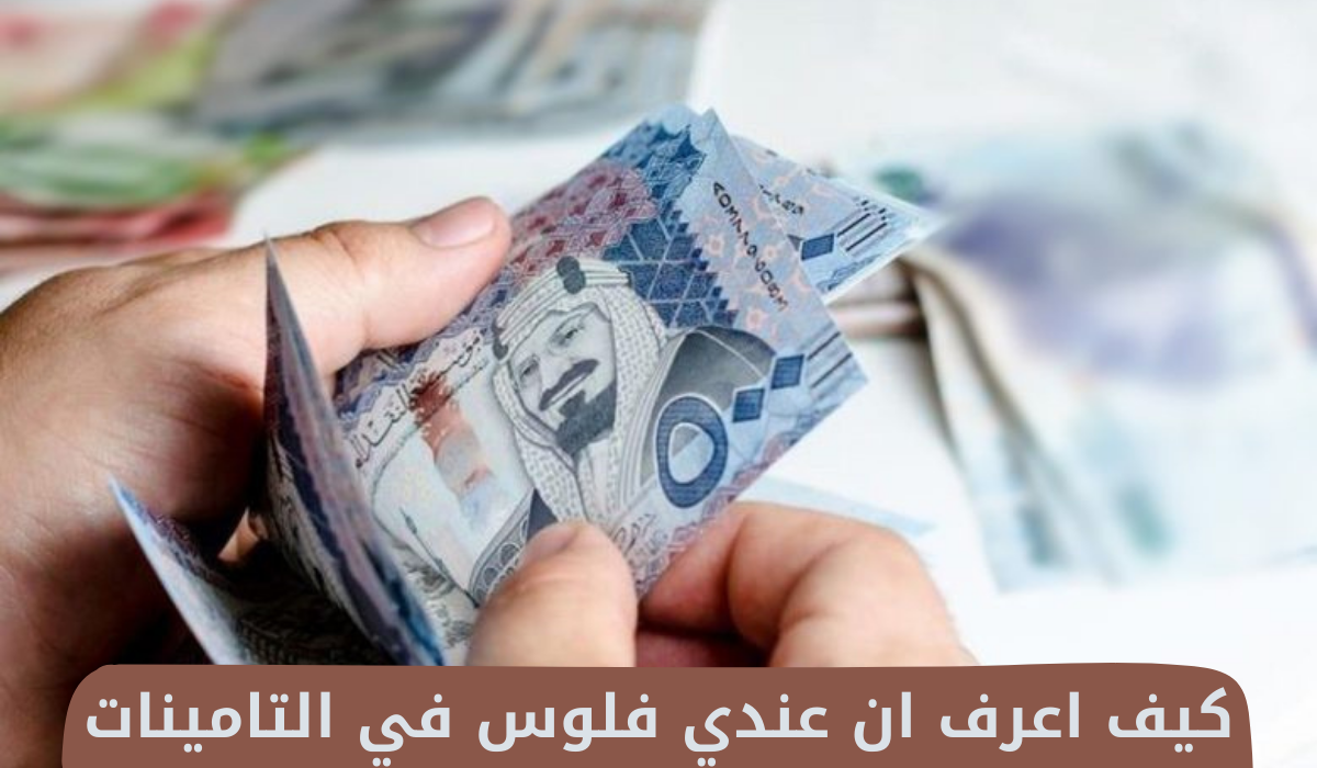 كيف اعرف ان عندي فلوس في التامينات
