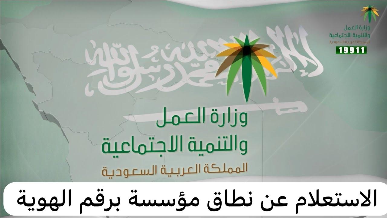 الاستعلام عن نطاق مؤسسة