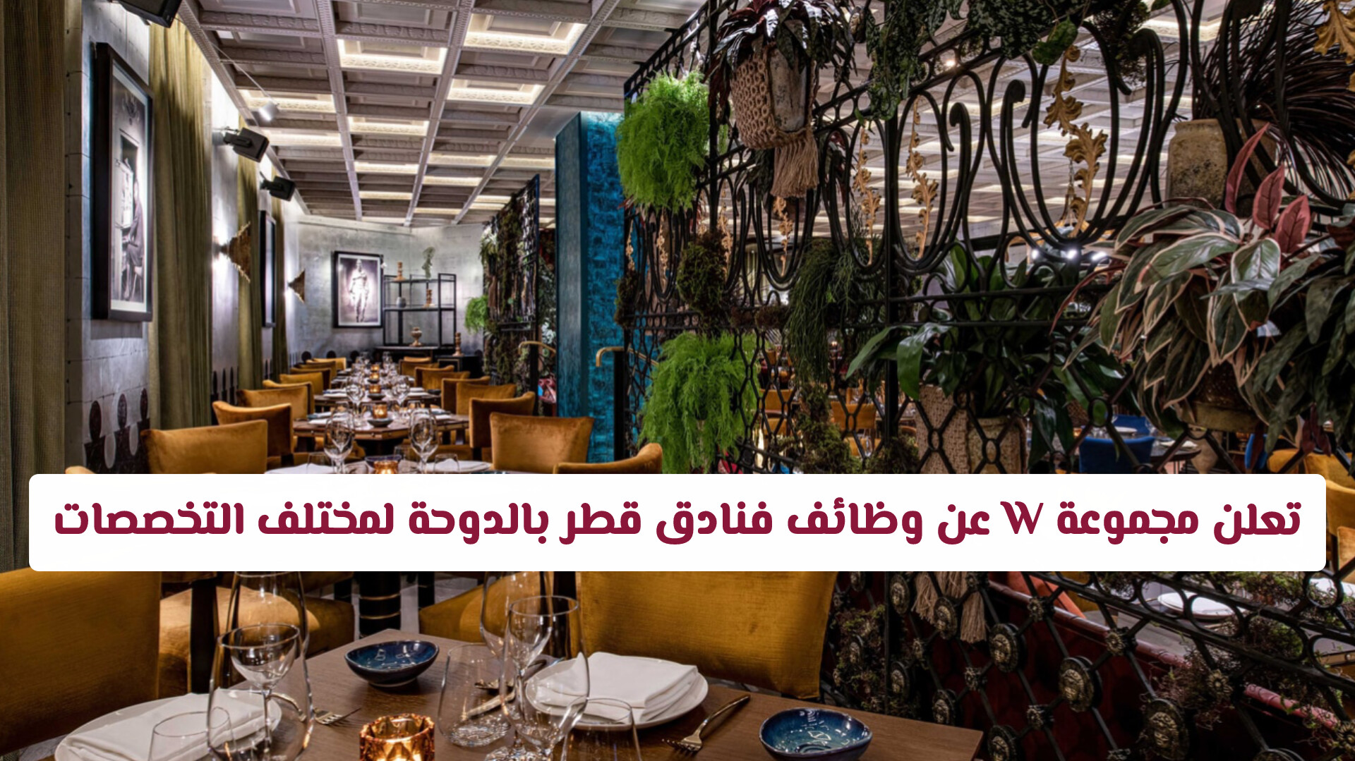 تعلن مجموعة W العالمية عن وظائف فنادق قطر بالدوحة بمختلف التخصصات.. قدم الآن!