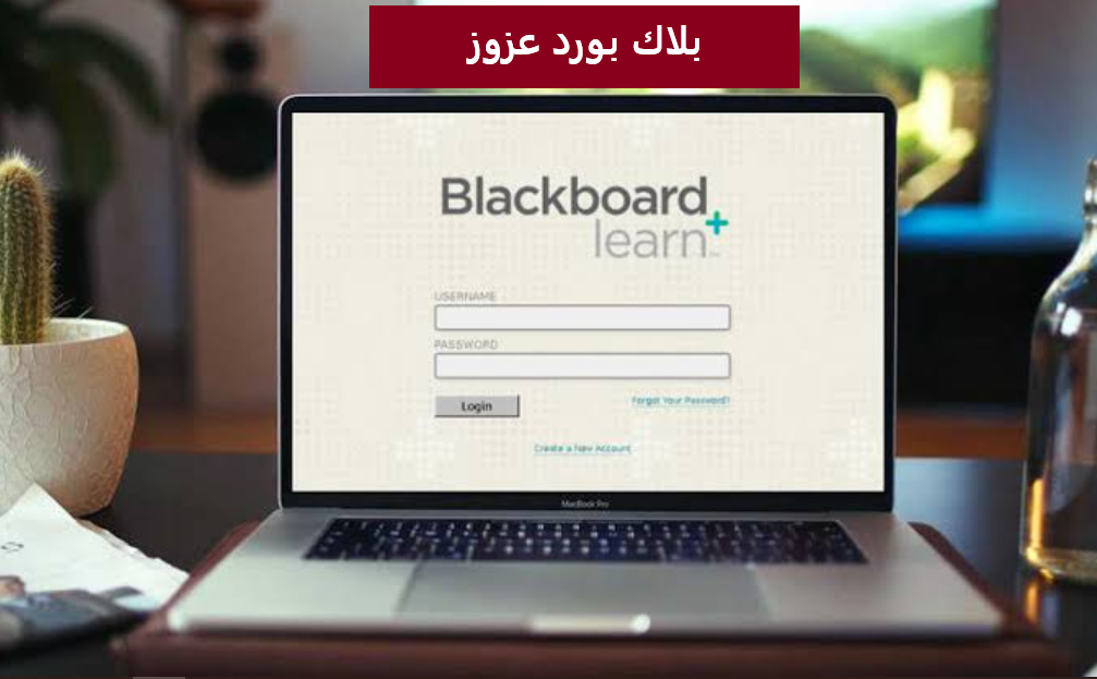 بلاك بورد عزوز