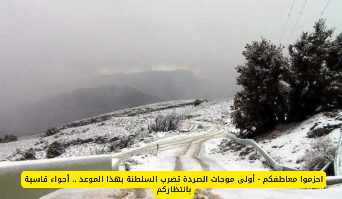 أولى موجات الصردة