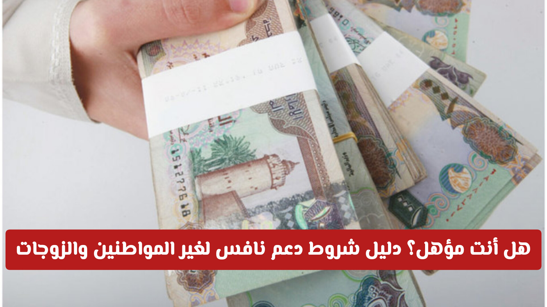 تحديثات برنامج نافس للمطلقات وأرامل وزوجات المواطنين في الإمارات .. هل يشملهم الدعم؟