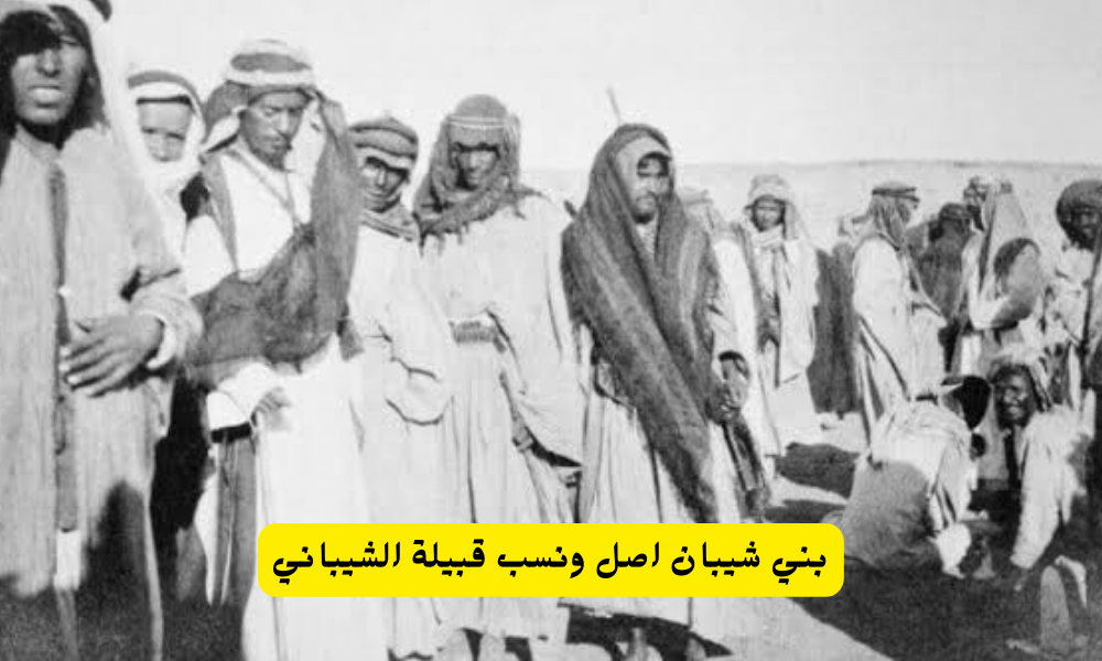 بني شيبان اصل ونسب قبيلة الشيباني