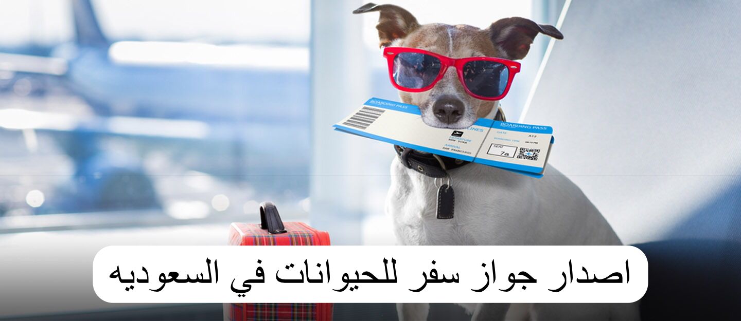 اصدار جواز سفر للحيوانات