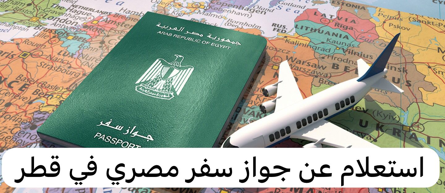 استعلام عن جواز سفر مصري