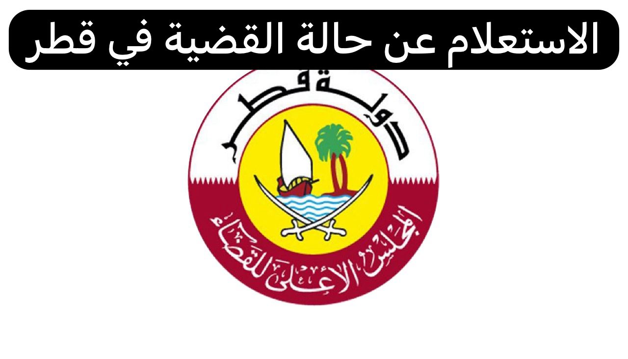 الاستعلام عن حالة القضية