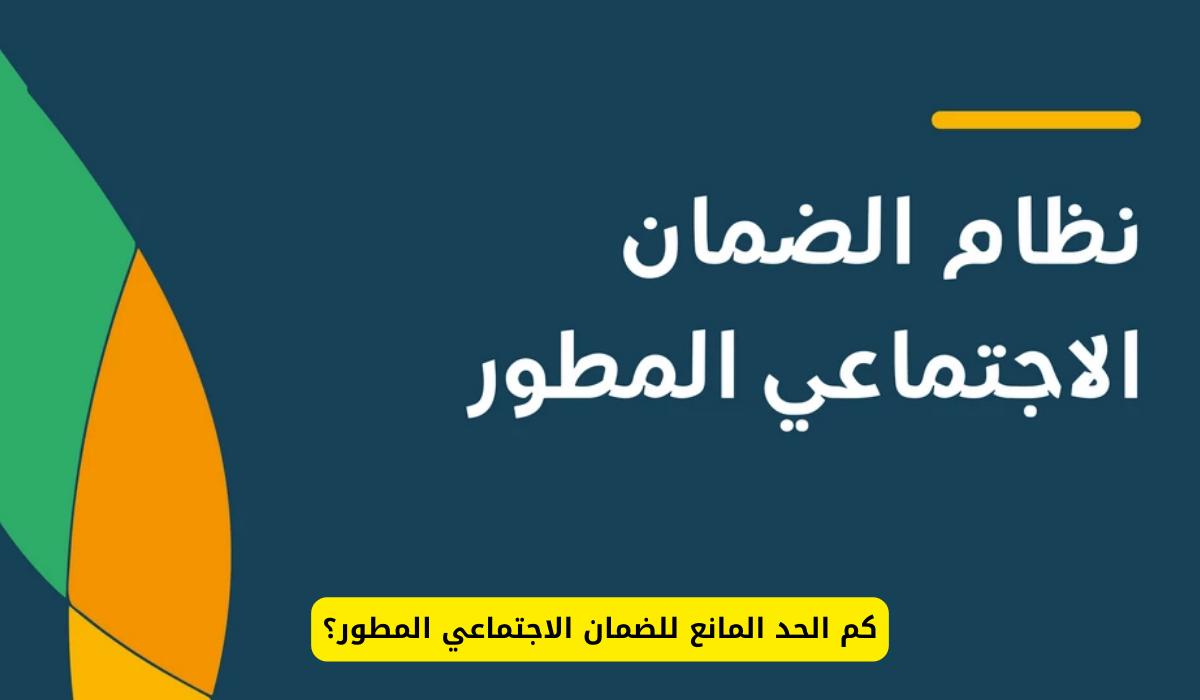 الحد المانع للضمان