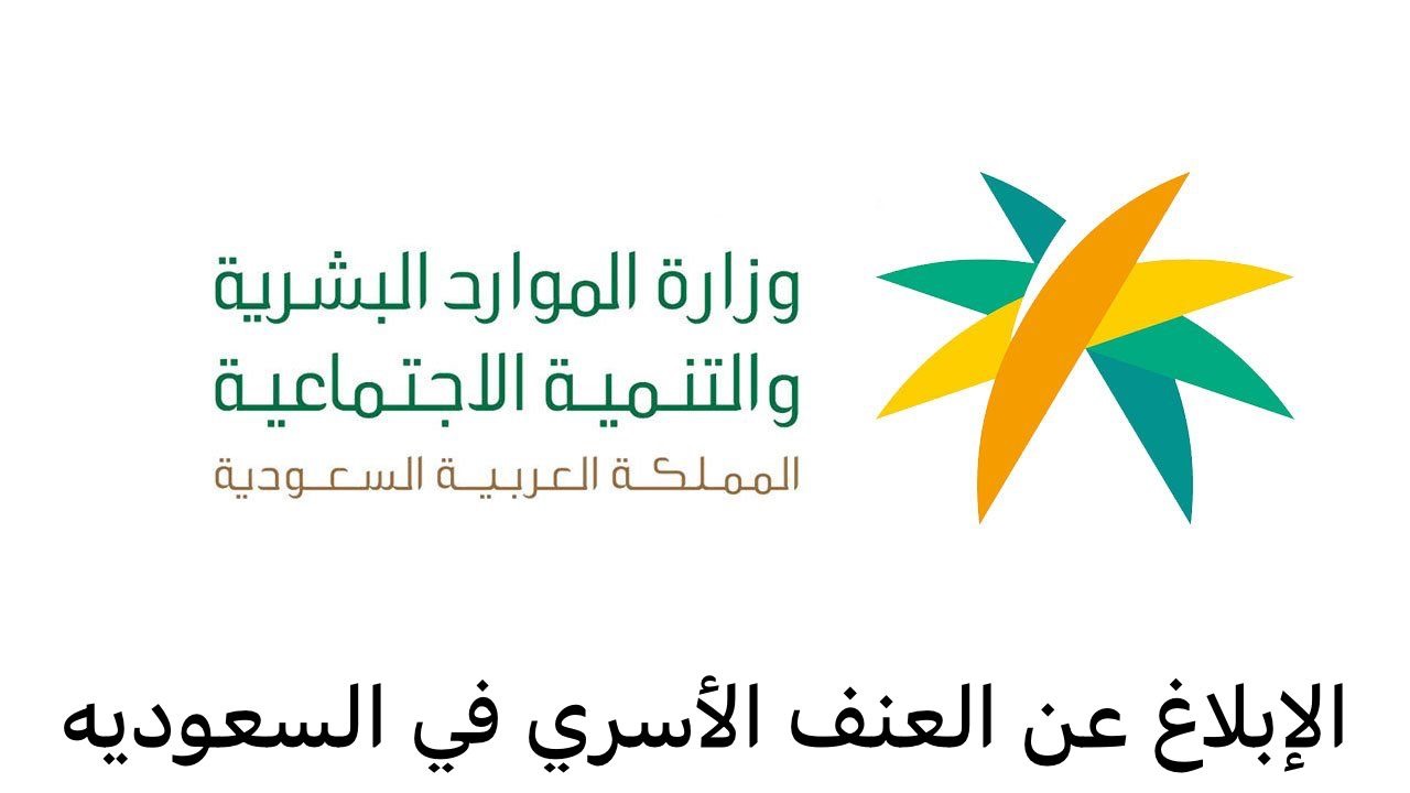 العنف الأسري